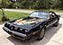 1981 Pontiac Firebird Trans Am Turbo Special for sale 100787720